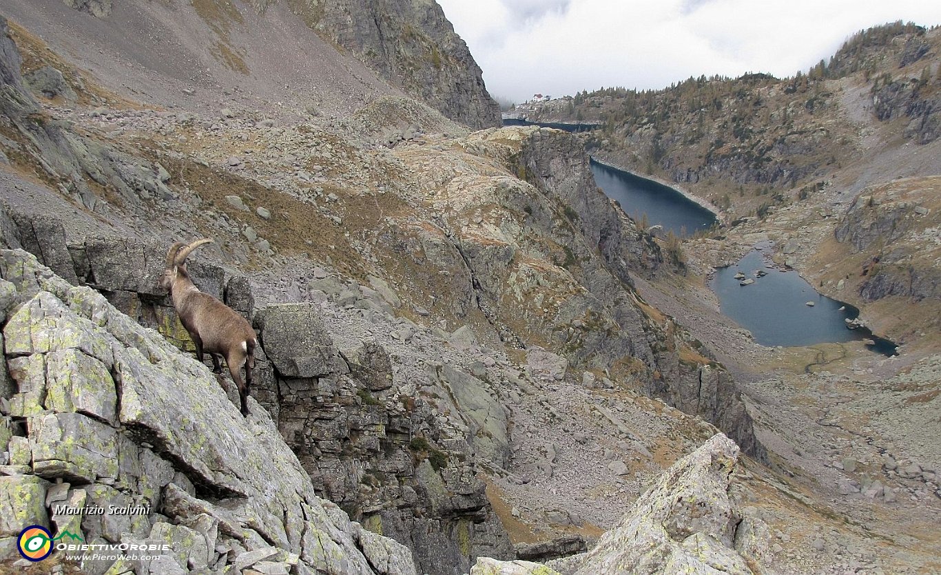 55 Spuntano i laghi....JPG